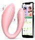 kf-Sb8e8f3ee301f4e1a90962f32b4997ad3A-Wireless-Control-Vibrator-for-Women-Climax-Masturbator-Wearable-Dildo-G-Spot-Vibrator-Clit
