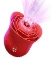 Powerful Sucking-Rose Vibrator Toy for Women